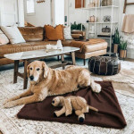 ПРОМО комплект - поларени одеяла 150х200 см. - кафяво